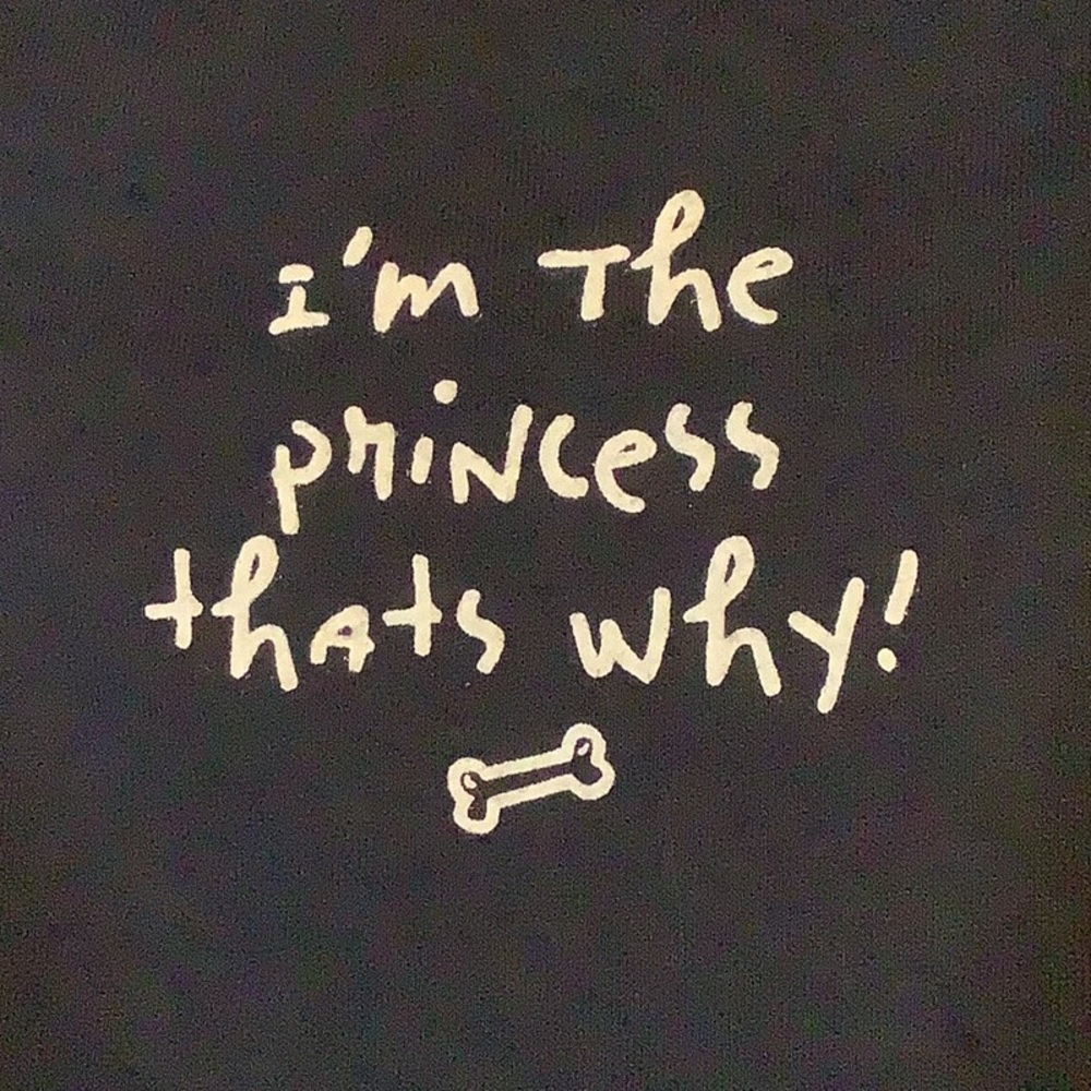 “I’m the princess that’s why!” 🦴 Navy dog tee with red ribbing, size MEDIUM NWT